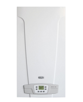 Котел газовый ECO-4s 10 F